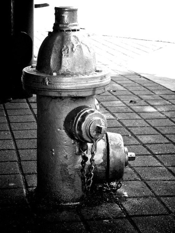 Bathroom Wall Decor Industrial Wall Decor Dog's Best