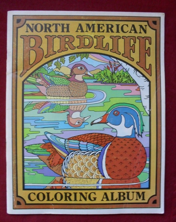 Vintage North American Bird Life Coloring Book Album 1972