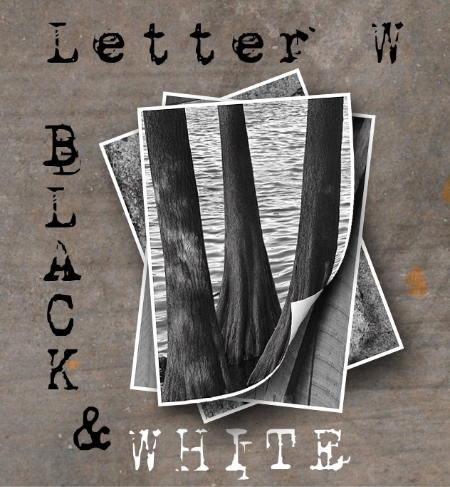 LETTER W Alphabet Photography LETTERS Black and White