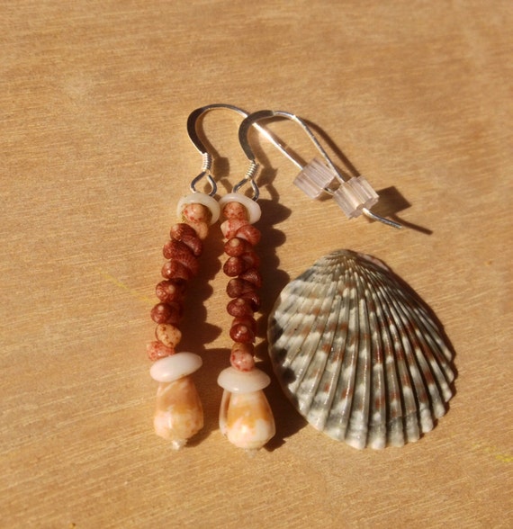 Kahelelani Shells Puka Shells Rare Hawaiian by KauaiShellsandMore