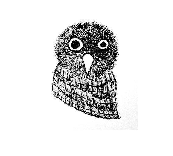Quirky Owl ArtCollectibles Prints by daricedesignsjewelry