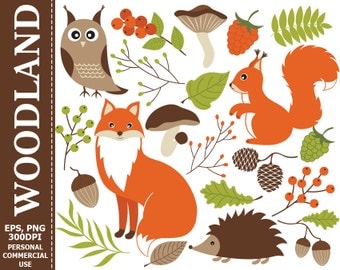 50% OFF SALE Digital Woodland Clipart - Fox, Squirrel, Owl, Hedgehog, Mushrooms, Acorn, Woodland Clip Art