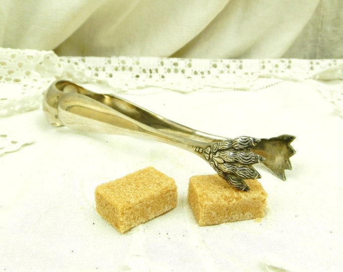 Antique French Silver Plated Sugar Tongs Original Box / French Country Decor / Chateau Chic / Retro Vintage Home Interior / Coffee Kitchen
