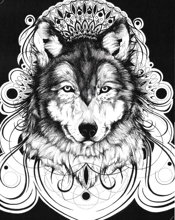 Wolf Pen And Ink Drawing 1114 Original