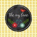 Amy L