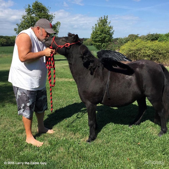 NonRiding Black Horse Wings Black Feathered Wings by MyBuddyBling