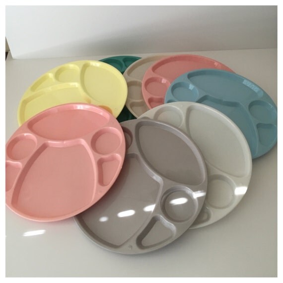 Vintage Picnic Plates Large Divided Plates PlasTek Plates