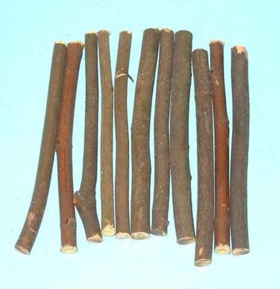 JAMAICAN CHEW STICK Gouania Lupuloides Sticks Natural
