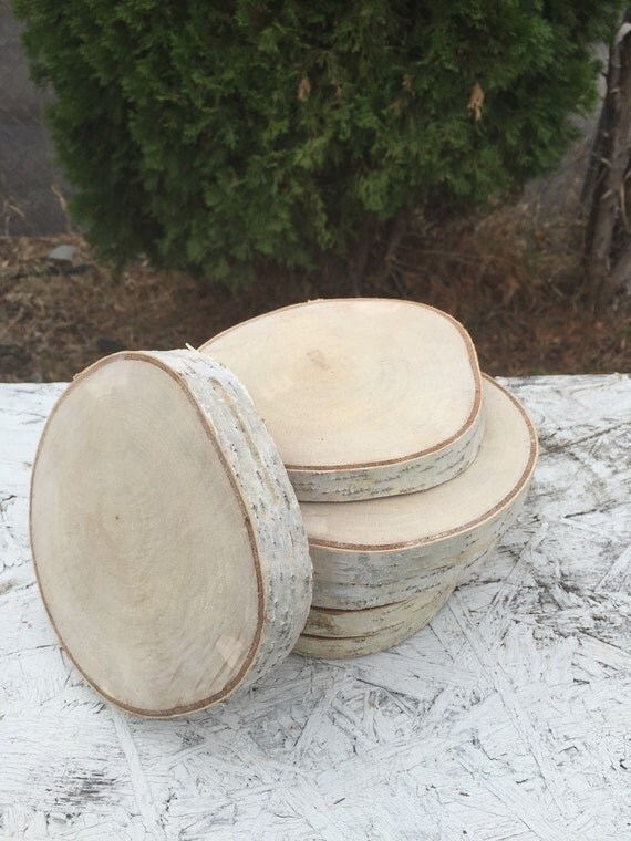 10 Birch Wood coasters 67in disks center piece diy Wedding