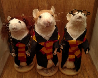 Harry Wizard and friends taxidermy mice