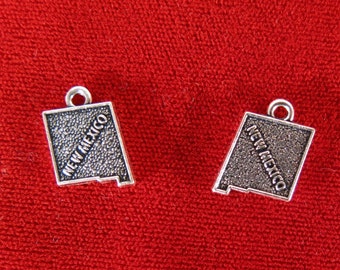 10pc "New Mexico" charms in antique silver style (BC963)