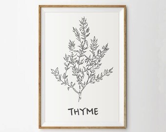 Thyme print - Herb print - Kitchen print - Botanical print - Garden print - Spring art - Digital print - Thyme - Plant print - Kitchen art