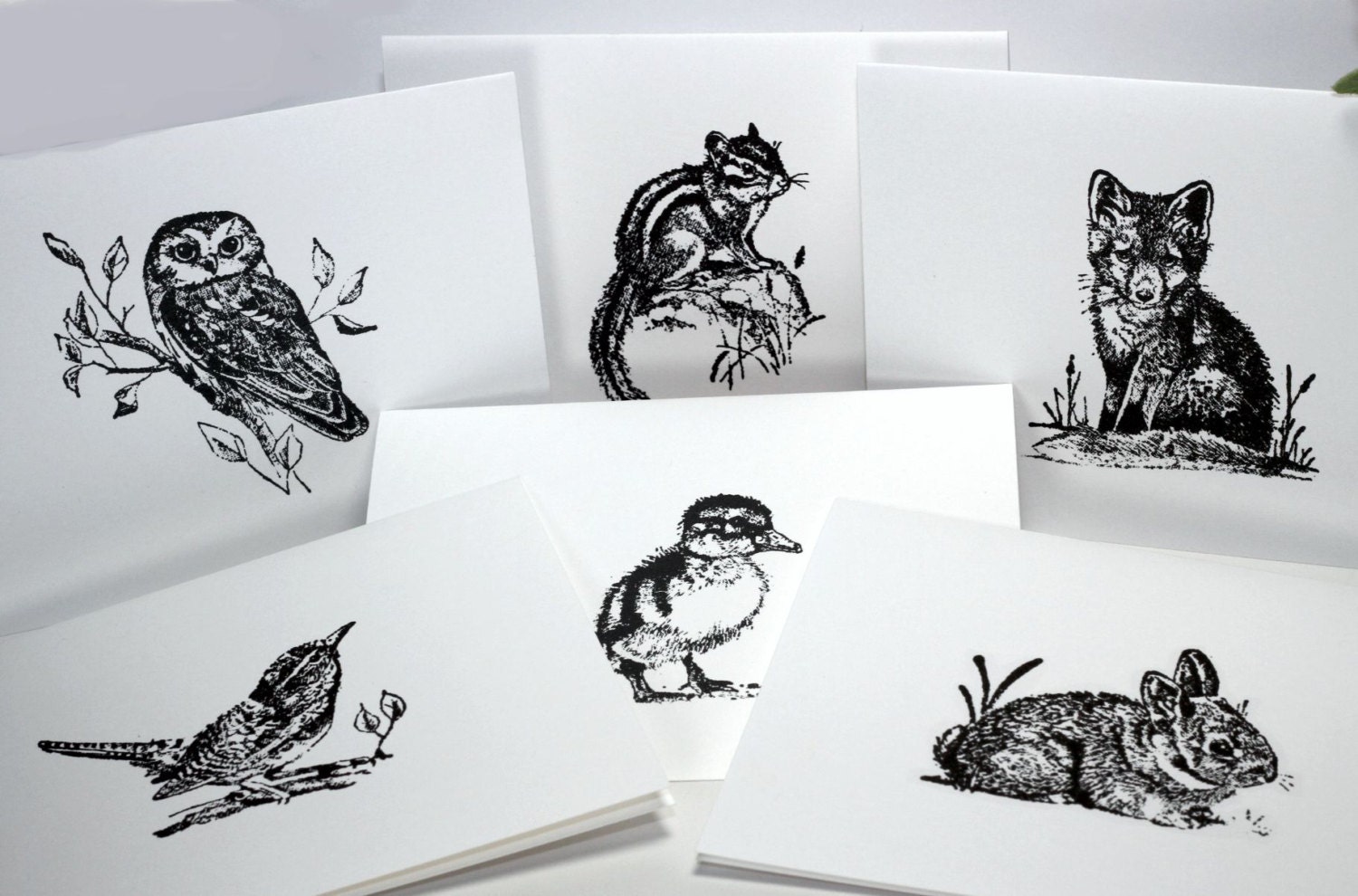 Woodland Animal Stationary Set of 12 Note Cards with Envelopes