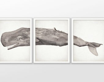 Sperm Whale Print Set Of 3 - Sperm Whale Watercolor Painting Print - Sperm Whale Bathroom Art - Set Of Three Prints #2094 - INSTANT DOWNLOAD