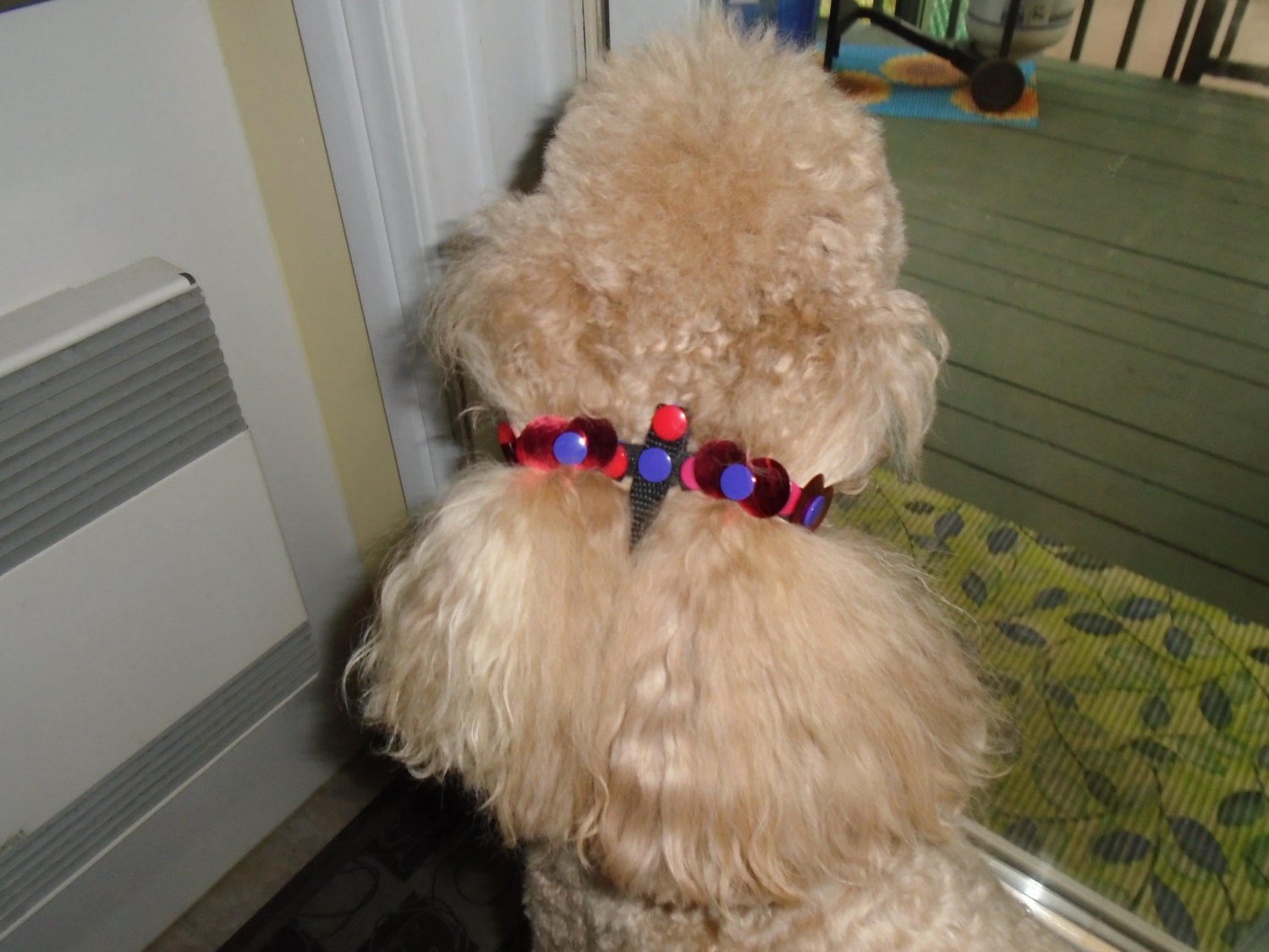 Multi Versatile Ear Harness for Long Ear Dogs or Long Hair