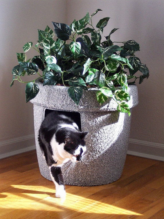 Champagne Grey Stonecoat Decor Ivy Cat Hidden Litter Box with