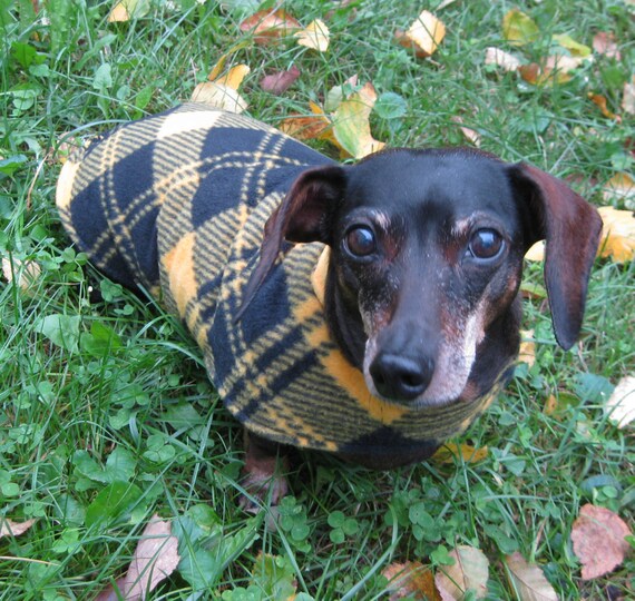 Items similar to Dachshund JacketReversible Fleece Dog JacketBlack