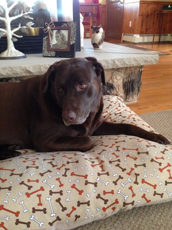 Lazy Paws Dog Bed Covers