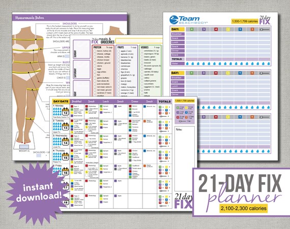 Beachbody 21-Day Fix Planner 2100 to 2300 by thekreationsbykristy