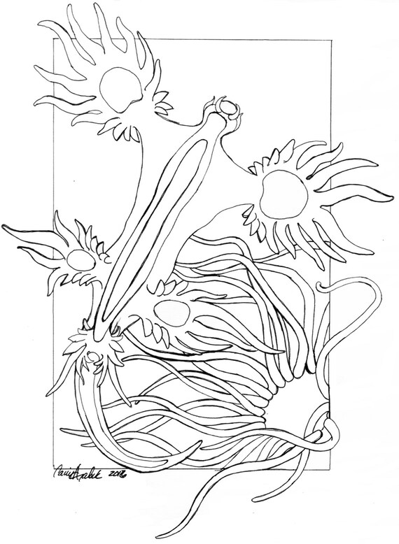 Items similar to Blue Sea Dragon coloring page on Etsy