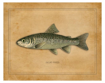 Fly fishing art | Etsy Fly fishing art | Etsy
