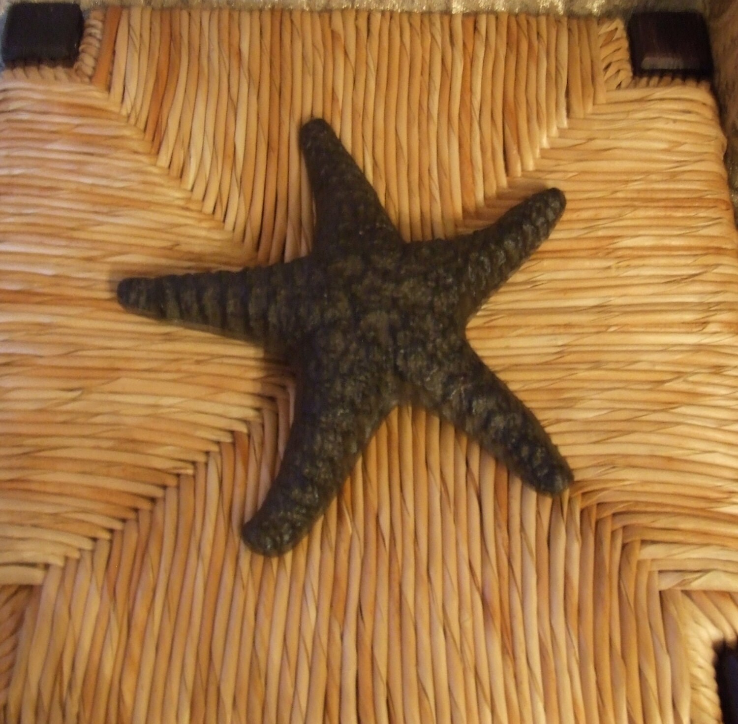 Cast Iron Starfish Metal Starfish Nautical Decor Starfish