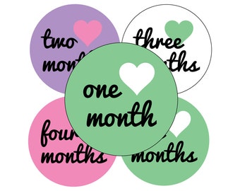 onesie Stickers, Baby Girl Stickers, Month Onesie, Baby Girl Monthly Sticker, Baby Girl onesie Labels, Girl Month Sticker