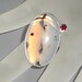 Brooch Montana Agate Garnet Fine Silver Bezel Pin Desert Sunset