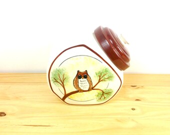Vintage Owl Cookie Jar / Owl Canister / Ceramic Canister / Hand Painted / Retro Kitchen Decor / Woodland Decor / Kitschy Kitchen