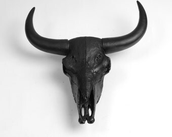 SALE - The X-LARGE Barnes - Large Black Resin Bison / Buffalo Skull Head- White Faux Taxidermy- Chic & Trendy Cow Skull - XL Bison Buffalo