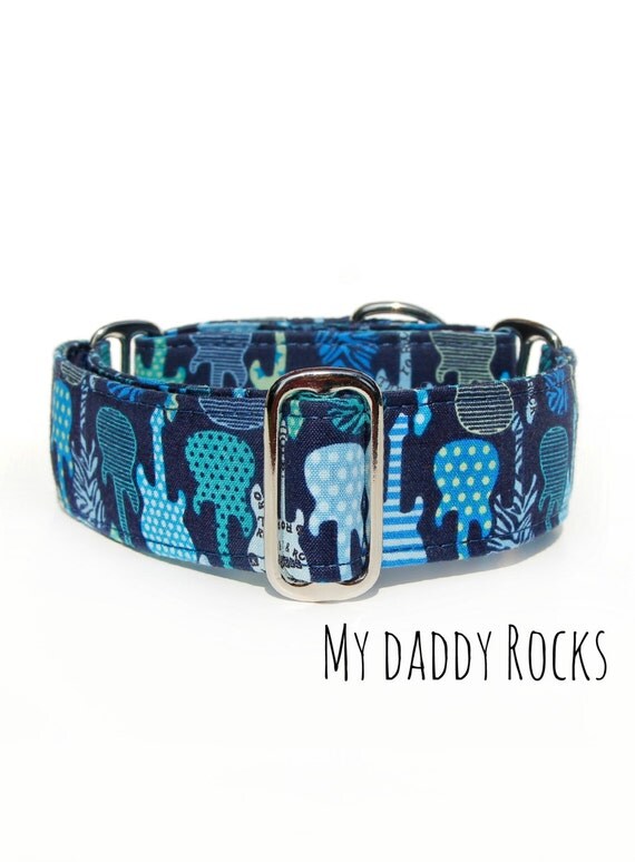 Wide Guitar Dog Collar Blue Martingale Collar Guitars Rock