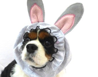 Bunny dog snood/ Easter dog snood/ halloween/ cavalier snood