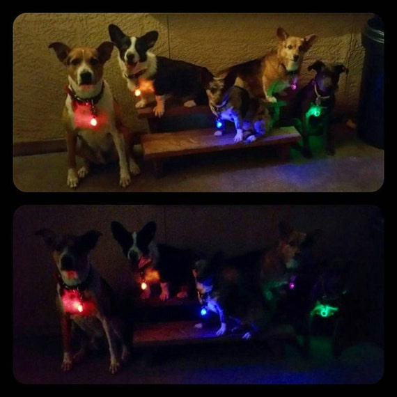 Pet safety light dog tag night lights w/ LED clips on collar