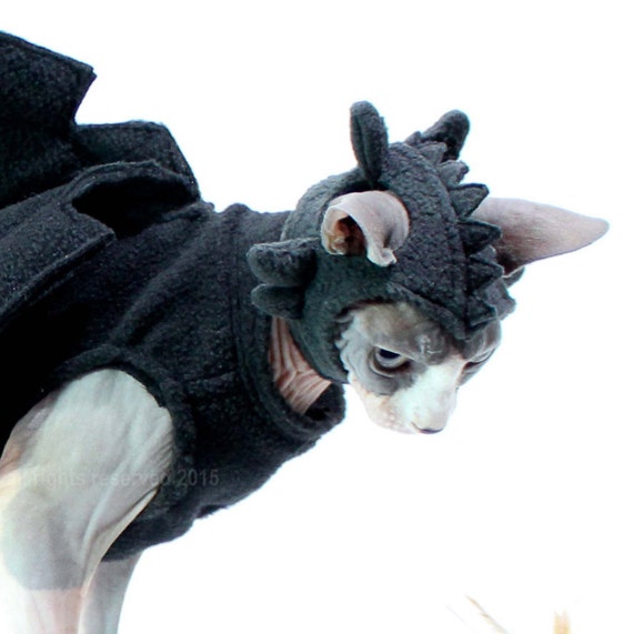 Cat Costume Toothless Dragon Halloween Hat