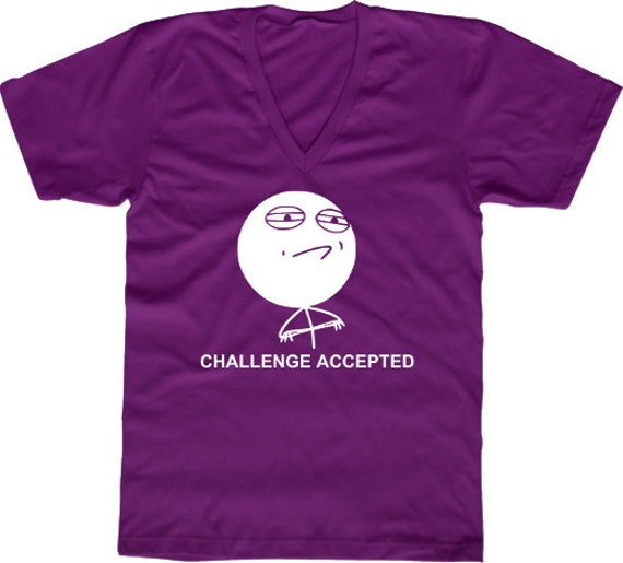 Womens V Neck Challenge Accepted Tshirt Funny by NaughtyCatApparel