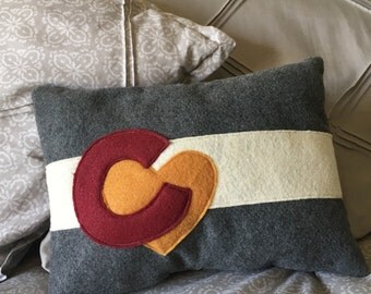 Colorado Flag Decorative Pillow Throw Pillow