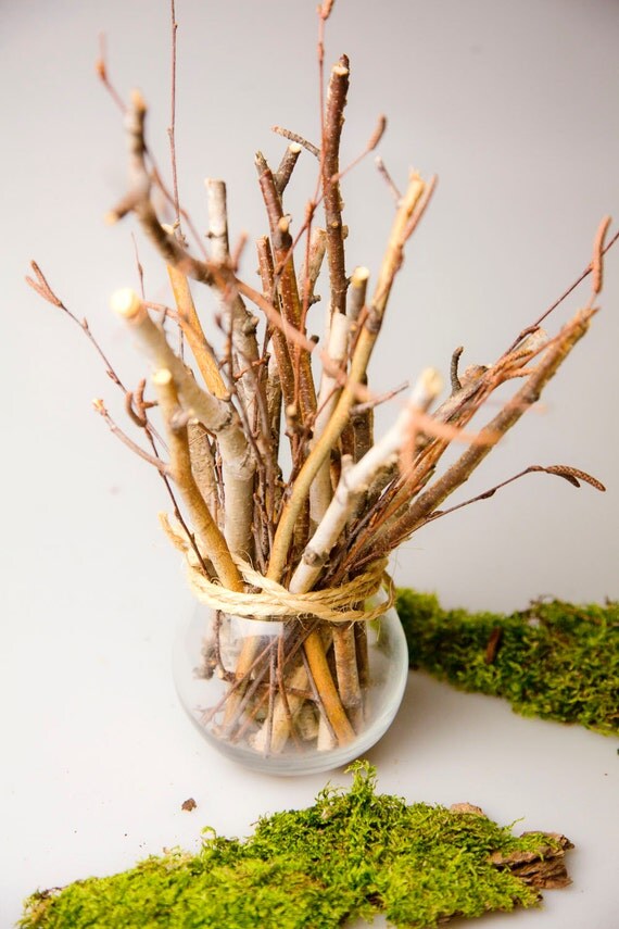 Items similar to Birch branches in a glass sphere, Birch ...