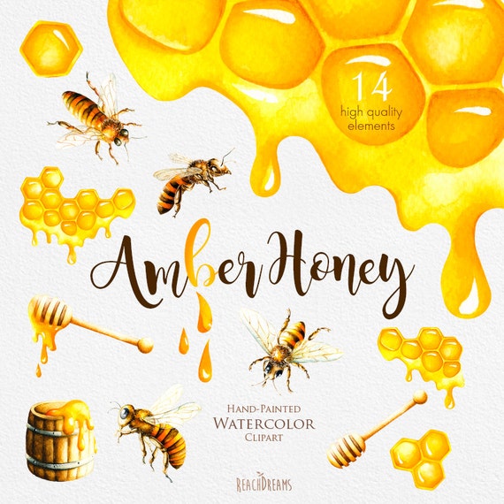 Watercolor Honey Bee Clipart Honeycomb Hand painted by ReachDreams