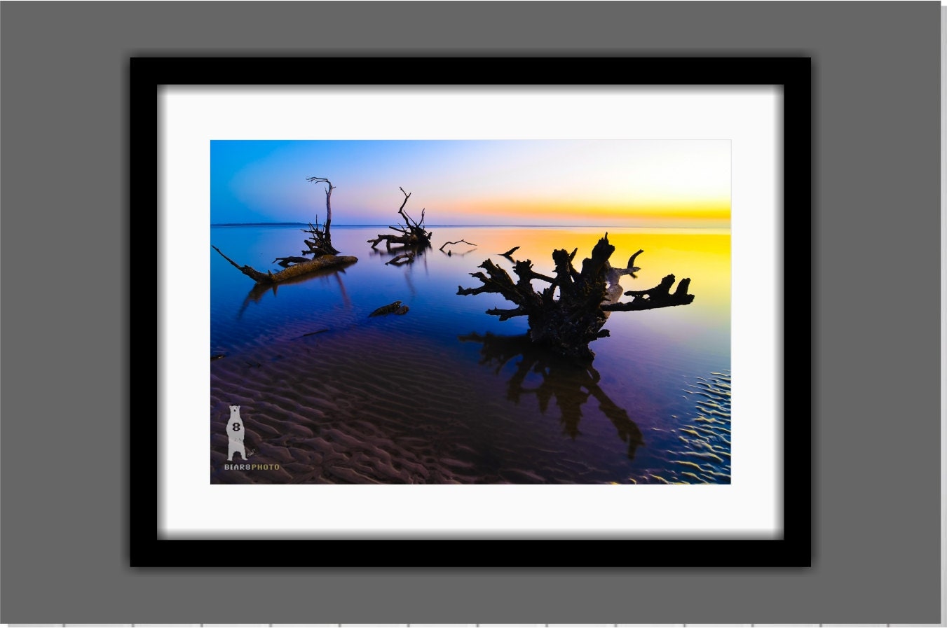 Metal Wall Art Nature Photographs Florida by Bear8Photo on Etsy