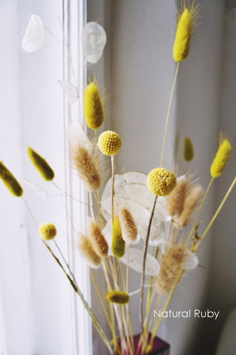 A small bunch of organic dried bunny tail grasses home
