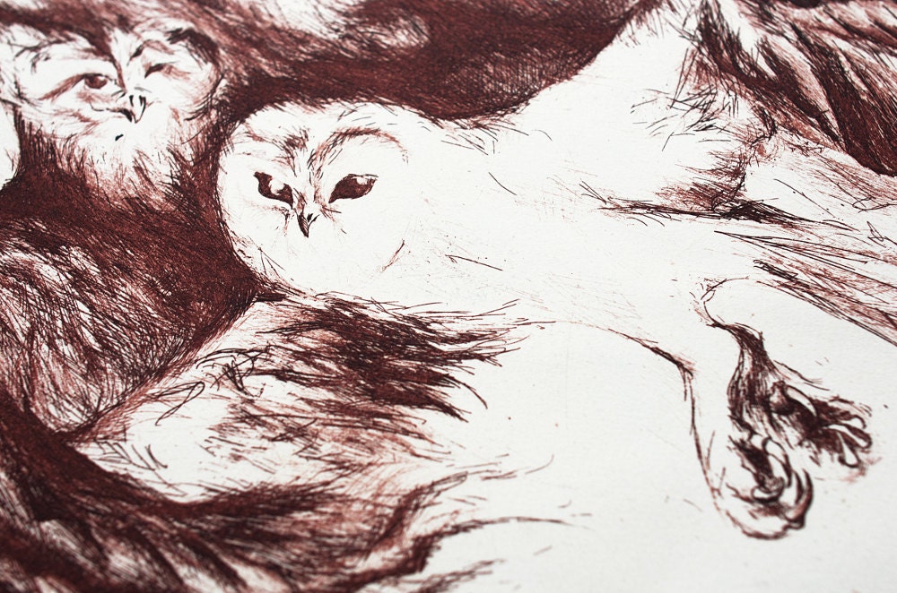 hyper surrealism owl sketch