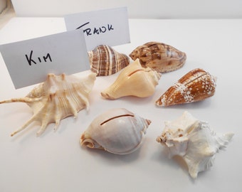 12 Brown White Seashell Place Card Holders Beach Wedding Favor Nautical Party Decor Sea Shell Table Sets