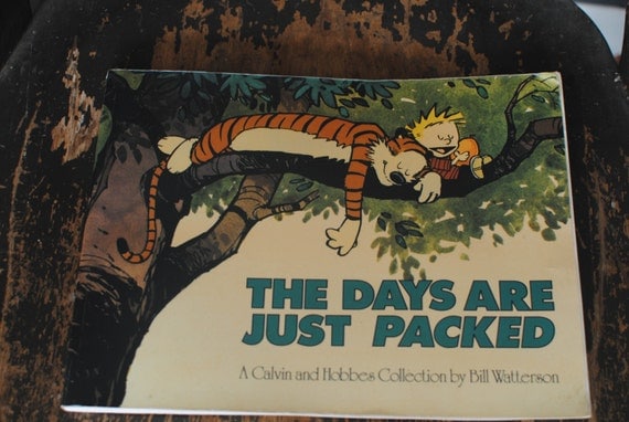 calvin and hobbes the days are just packed