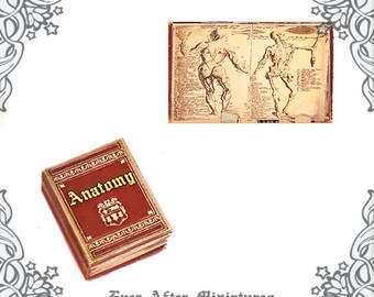 ANATOMY Dollhouse Miniature Book – 1:12 Medical Miniatures Skeletons Anatomy Miniature Book Science Anatomy Book Textbook Printable DOWNLOAD