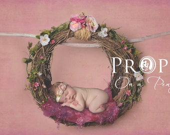 Hanging newborn nest _ studio digital backdrop, Newborn Photography props