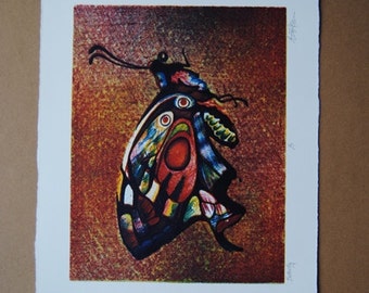 Butterfly Full Color Lithograph