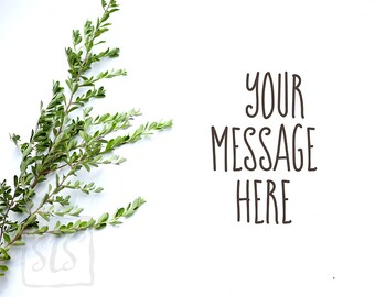 Texas Sage branches leaves Mockup Styled Stock Photography Background Desktop Wallpaper #213