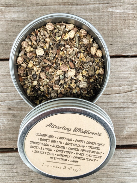 Pacific NW Wildflower Seeds 1 oz., 4 oz., 8 oz., Bulk Wildflower Seed