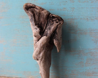 Natural Driftwood Sculpture , Beautiful Garden Decoration and Beach house Decor