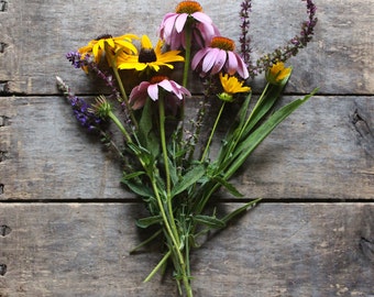 Perennial Seed Mixture, heirloom organic seeds, flower seeds, eco friendly gardener gift, one seed packet from our farm, flower garden